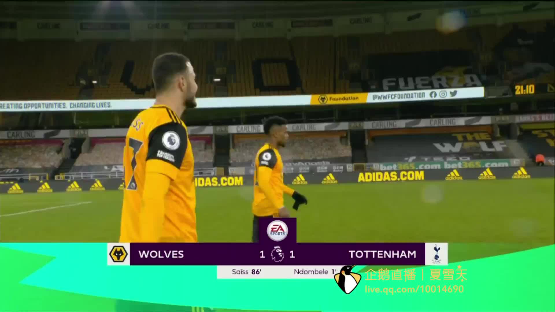 福克斯在组 福克斯在组